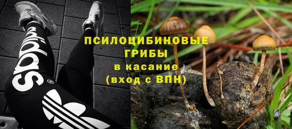 амф Костерёво