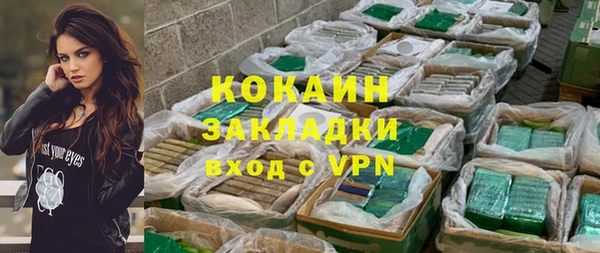 твердый Козловка