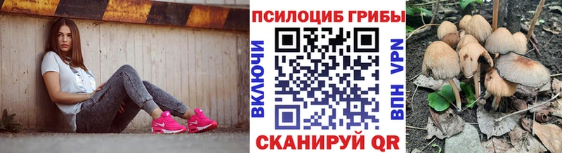 Купить  Бугульма  Галлюциногенные грибы Magic Shrooms 